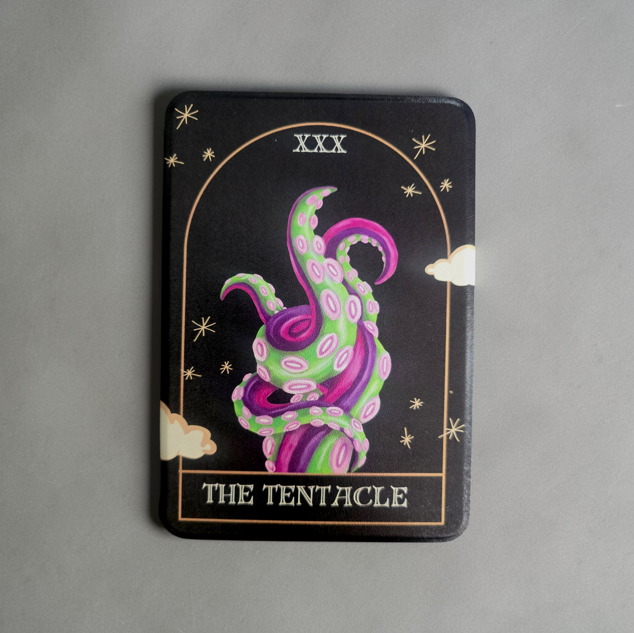 The Tentacle Kindle Detachable and Mag Safe Case