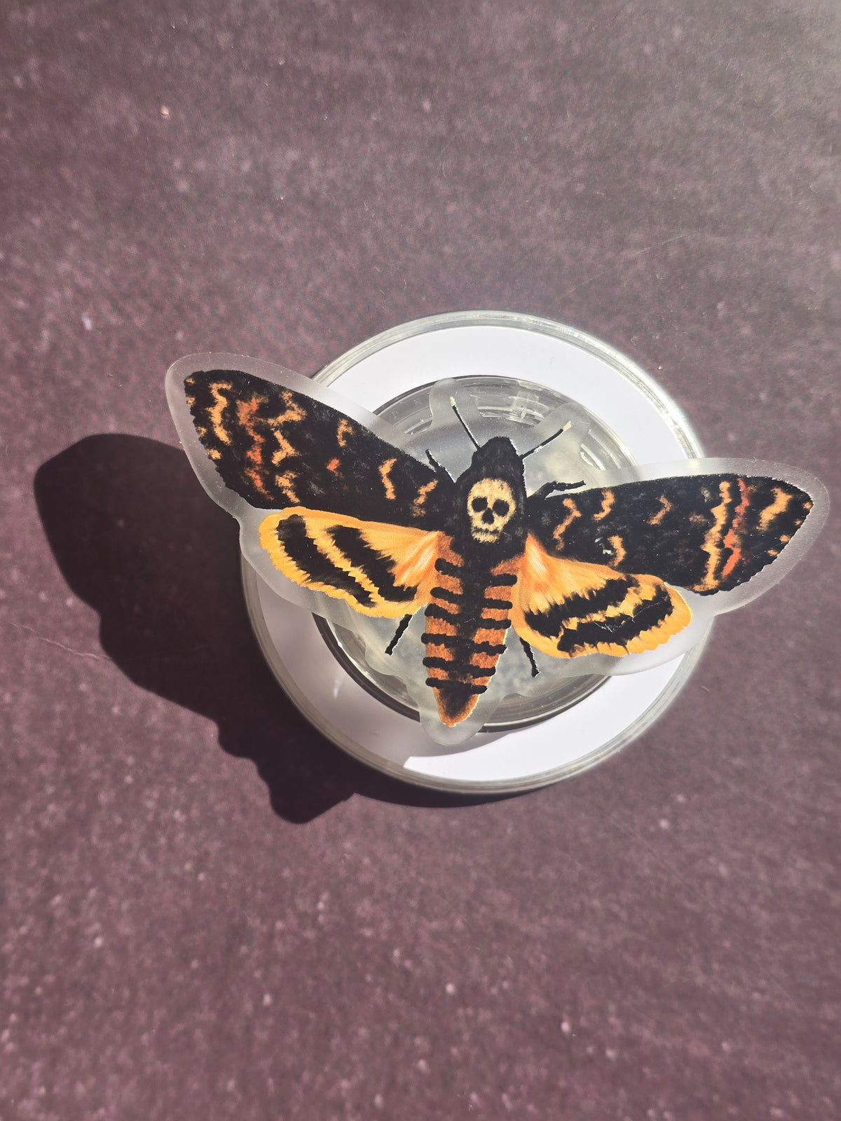Deads Head Hawkmoth